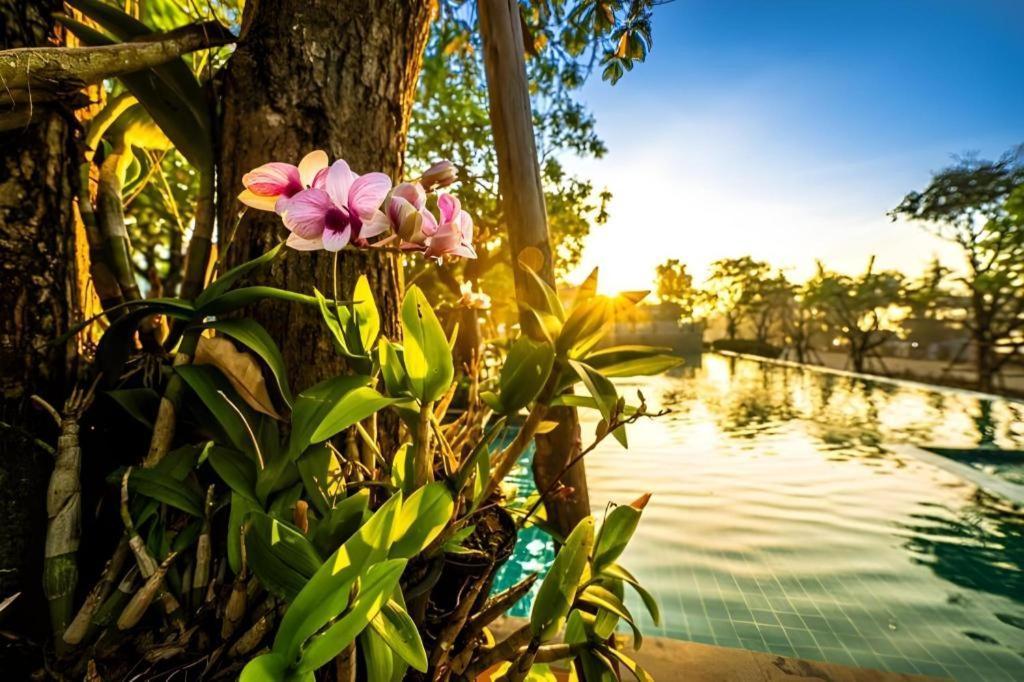 Chatnipa Beach Resort By Morseng Ban Hat Lek Luaran gambar